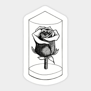 Rose Sticker